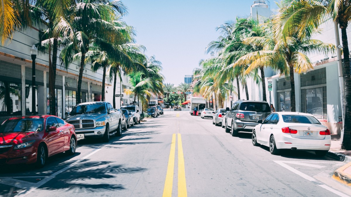 A sunny street lined with palm trees and parked cars on both sides, leading towards distant buildings and a clear blue sky.