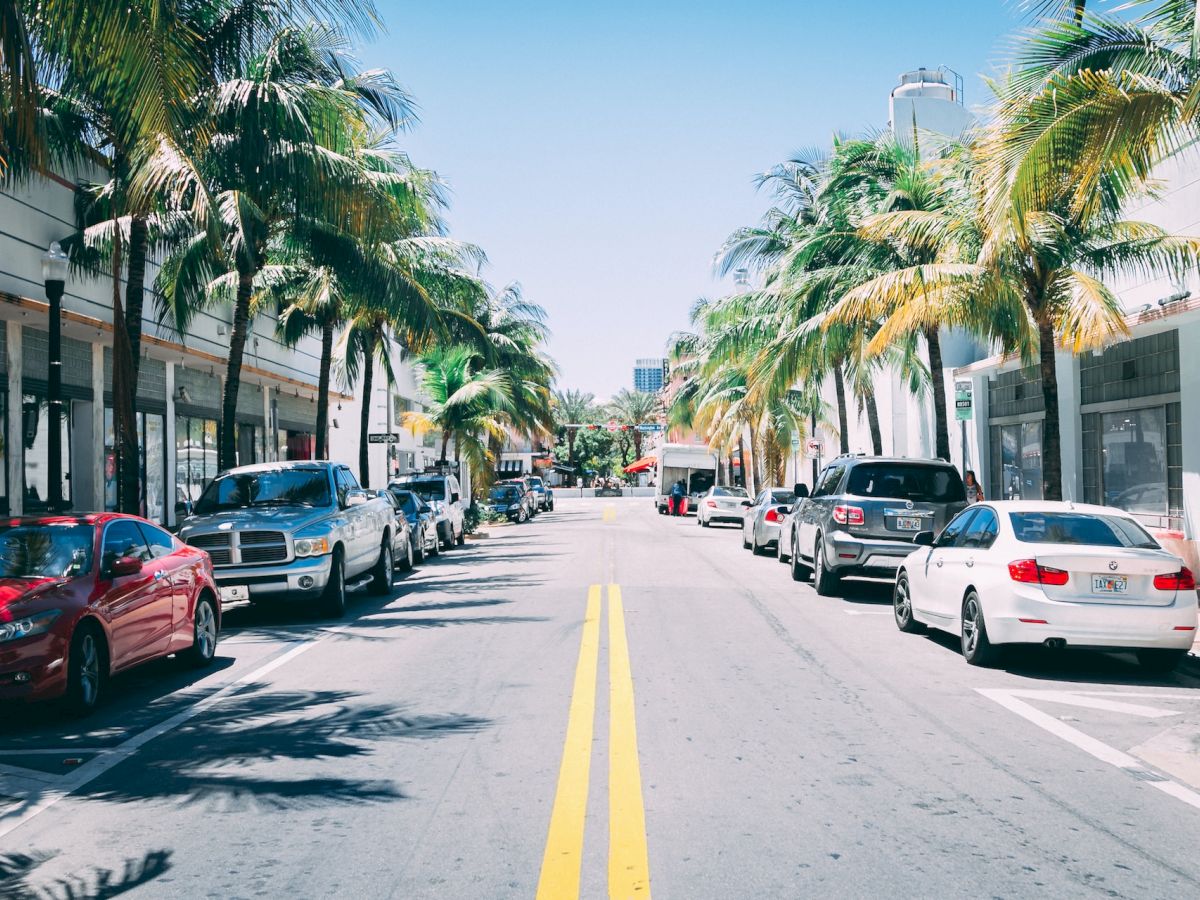 A sunny street lined with palm trees and parked cars on both sides, leading towards distant buildings and a clear blue sky.