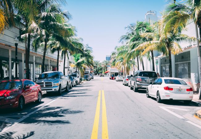 A palm tree-lined street with parked cars on either side and shops in the background under a clear blue sky.