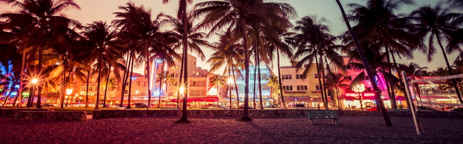 The image shows a beach at sunset with tall palm trees and a vibrant cityscape with illuminated buildings and colorful lights in the background.