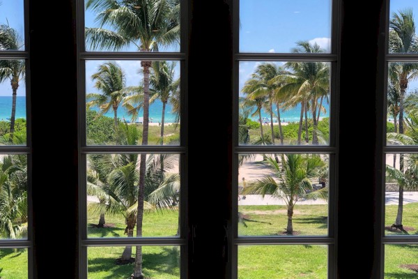 A view through a window showing palm trees, a grassy area, and the ocean in the distance under a clear blue sky.