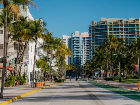 A sunny street lined with palm trees, mid-rise buildings, and vibrant greenery, showcasing a serene urban setting.