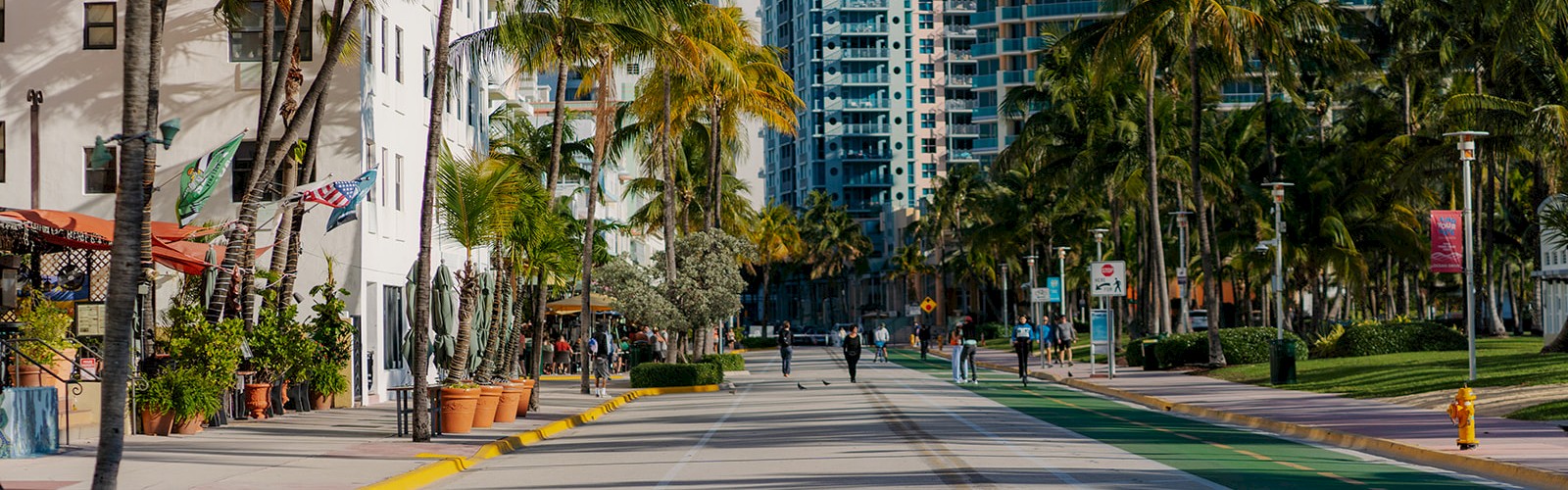An urban street scene with tall buildings, palm trees, and some pedestrians in the distance on a clear, sunny day ending the sentence.