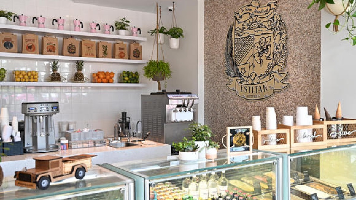 A modern and bright café interior with a counter displaying pastries, drinks, and a stylish coffee machine, alongside decor with plants and wall art.