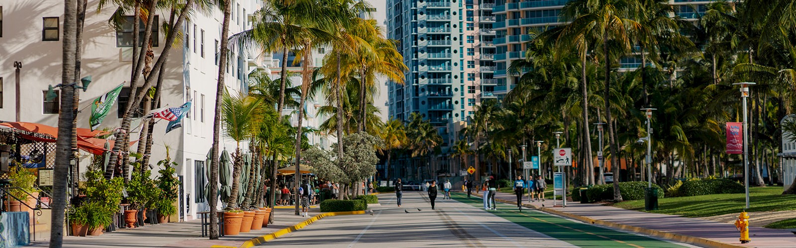 A sunny street lined with palm trees, buildings, and a few people walking or cycling in the distance with a clear blue sky in the background.