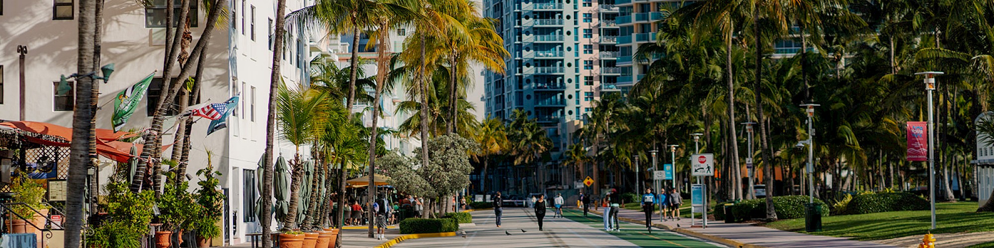 A sunny street lined with palm trees, buildings, and a few people walking or cycling in the distance with a clear blue sky in the background.